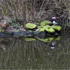 Spiegelung am See