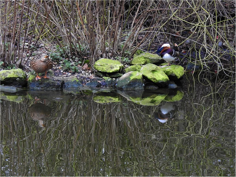 Spiegelung am See