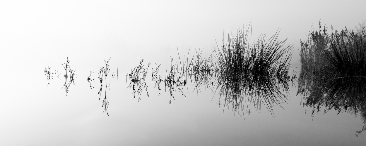 Spiegelung am See