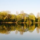 Spiegelung am See # Reflejos en el lago