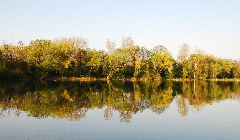 Spiegelung am See # Reflejos en el lago