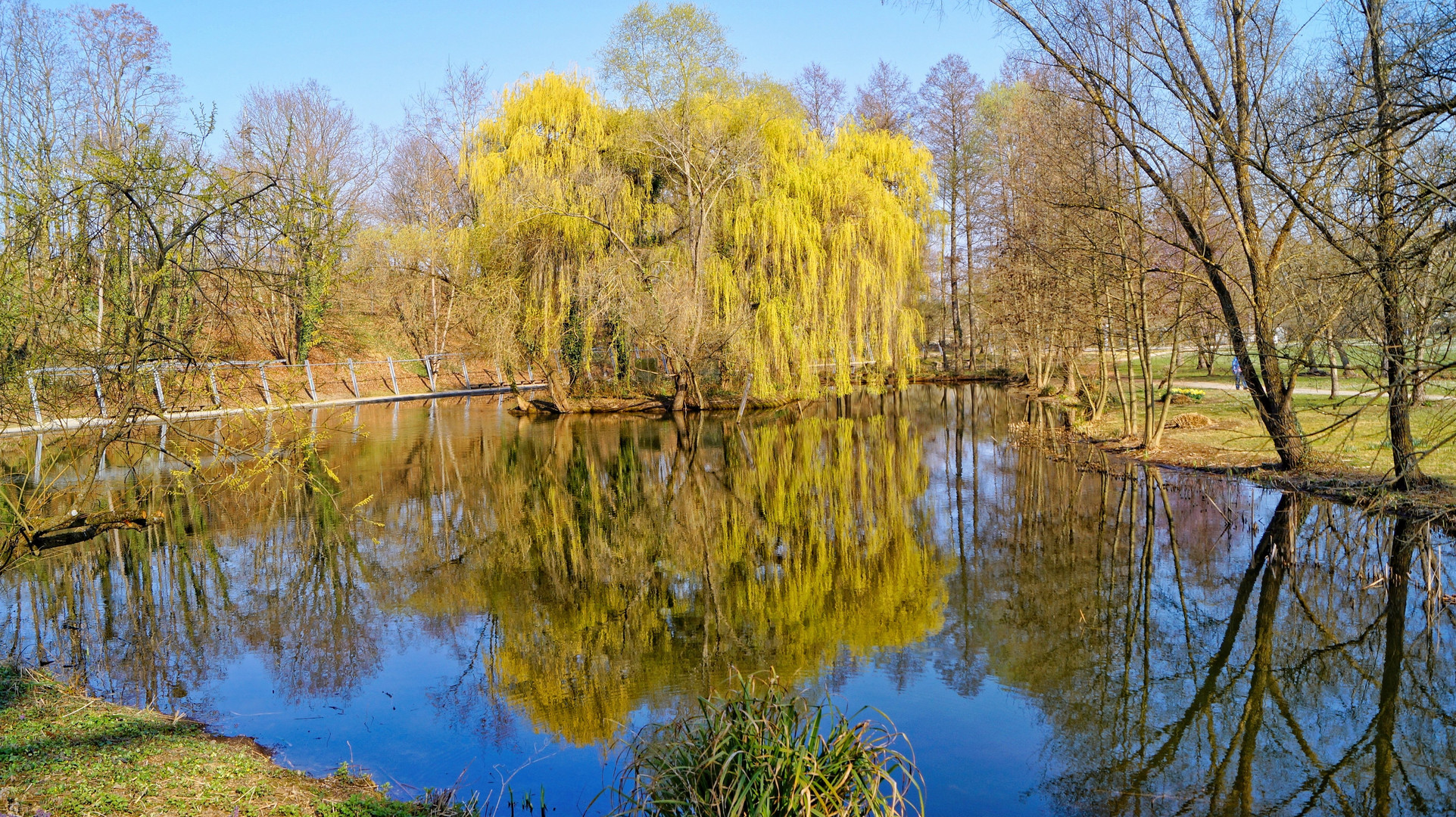 Spiegelung am Spiegeltag...Dienstag