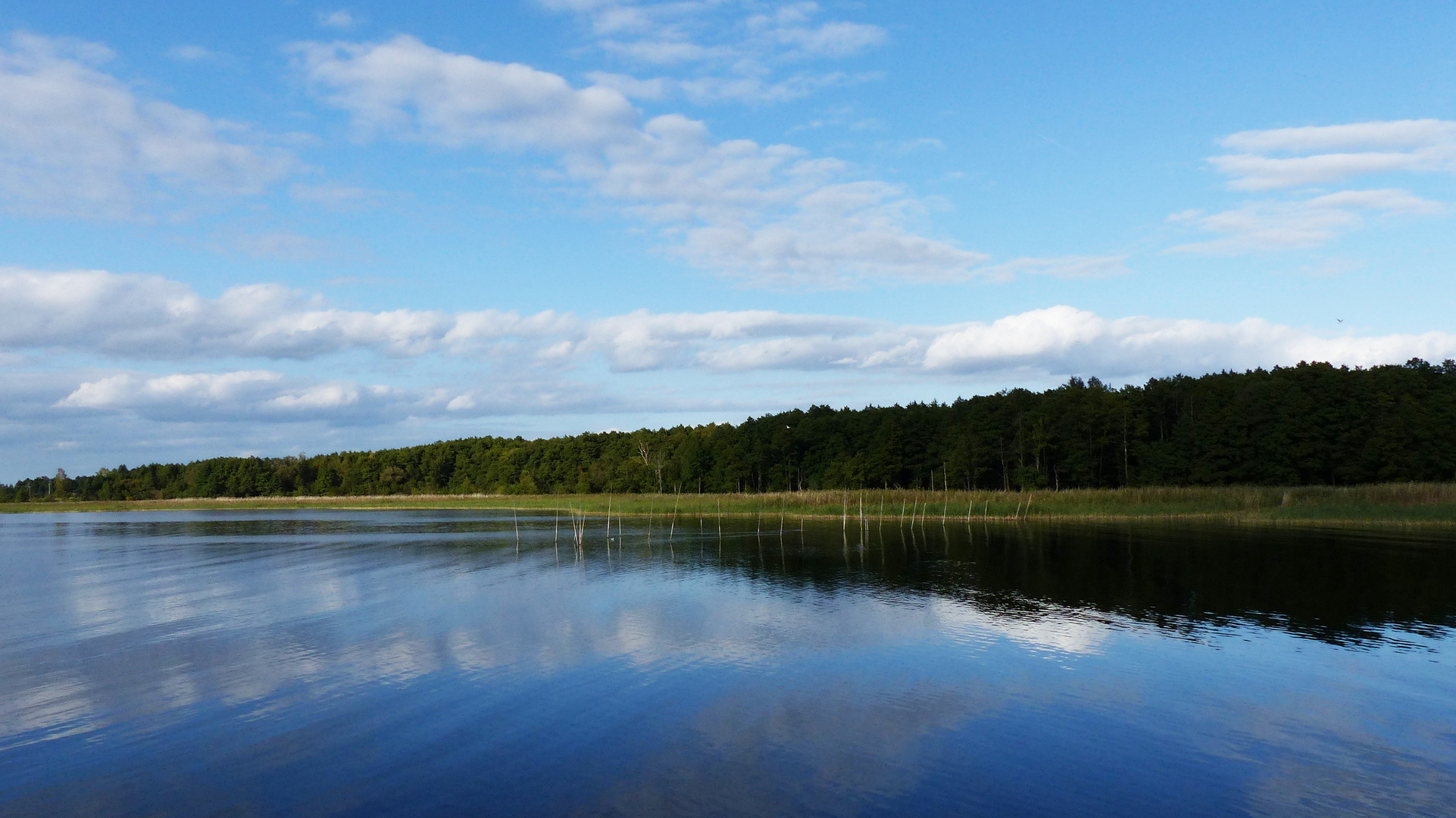 Spiegelung am Spirdingsee, Osstpreußen