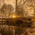 Spiegelung am Stadtgraben