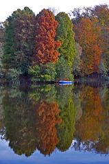 Spiegelung am Steinbrücker Teich