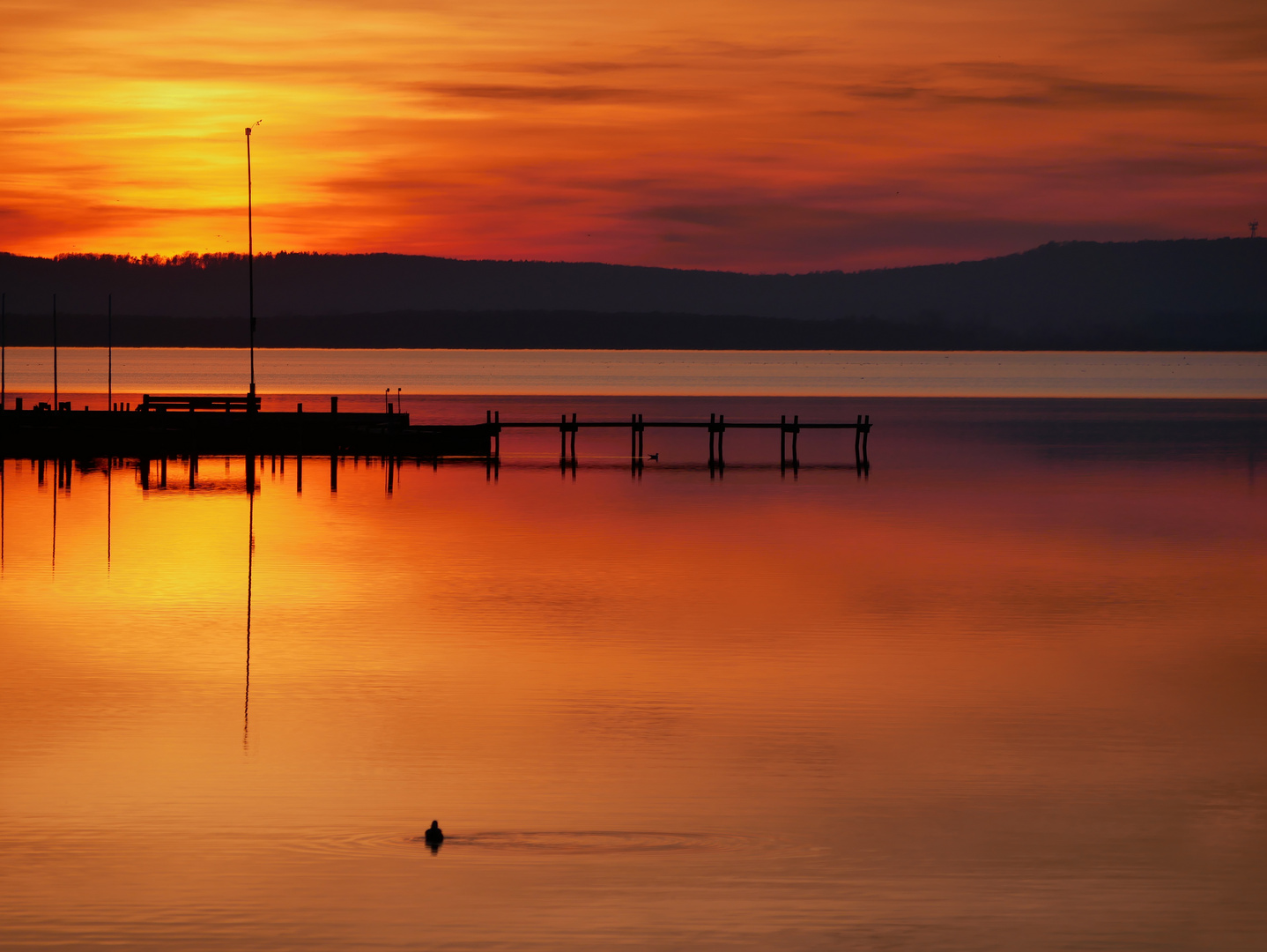 Spiegelung am Steinhuder Meer