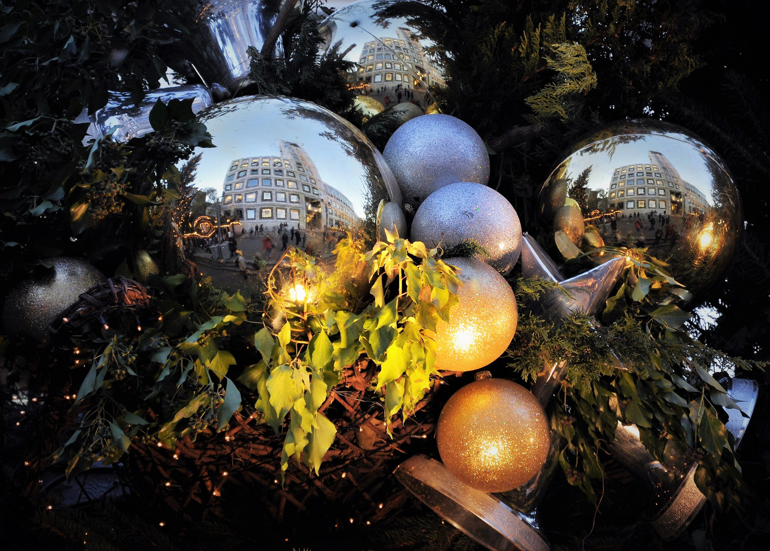 Spiegelung am Tannenbaum