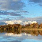 Spiegelung am Teich