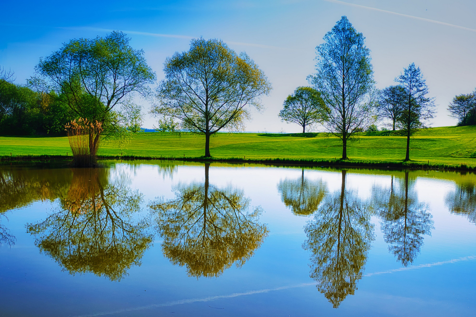 Spiegelung am Teich