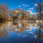 Spiegelung am Teich