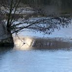 Spiegelung am Teich