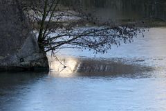 Spiegelung am Teich