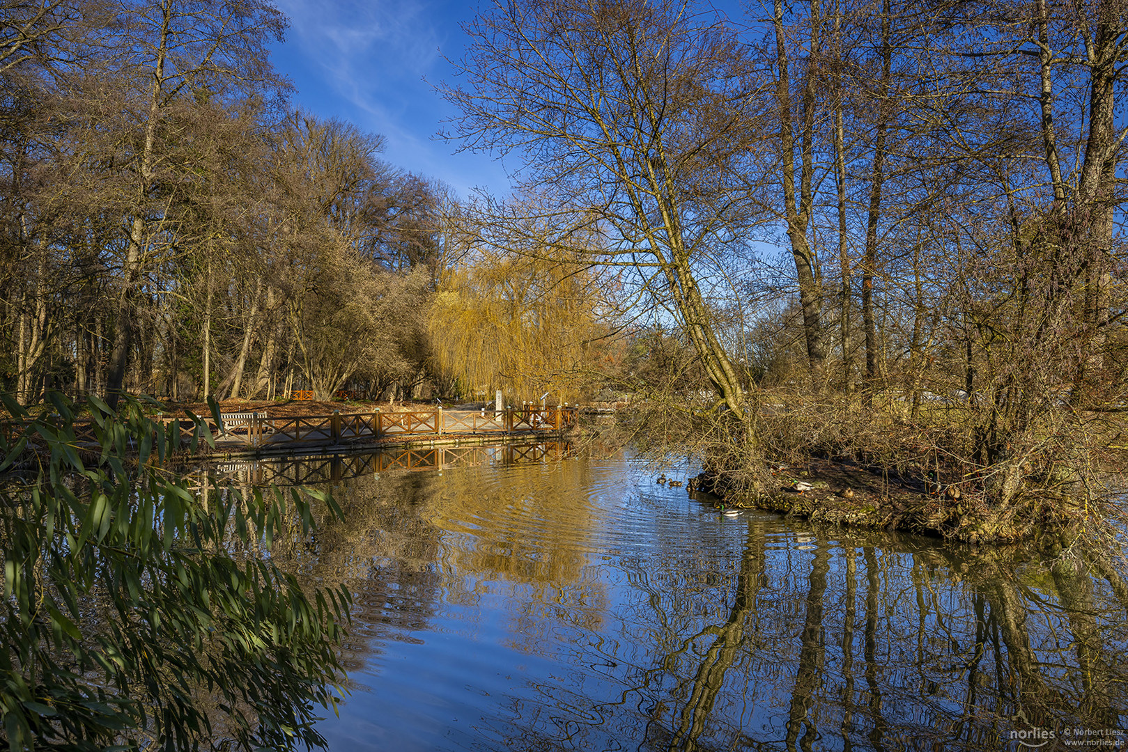 Spiegelung am Teich