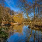 Spiegelung am Teich