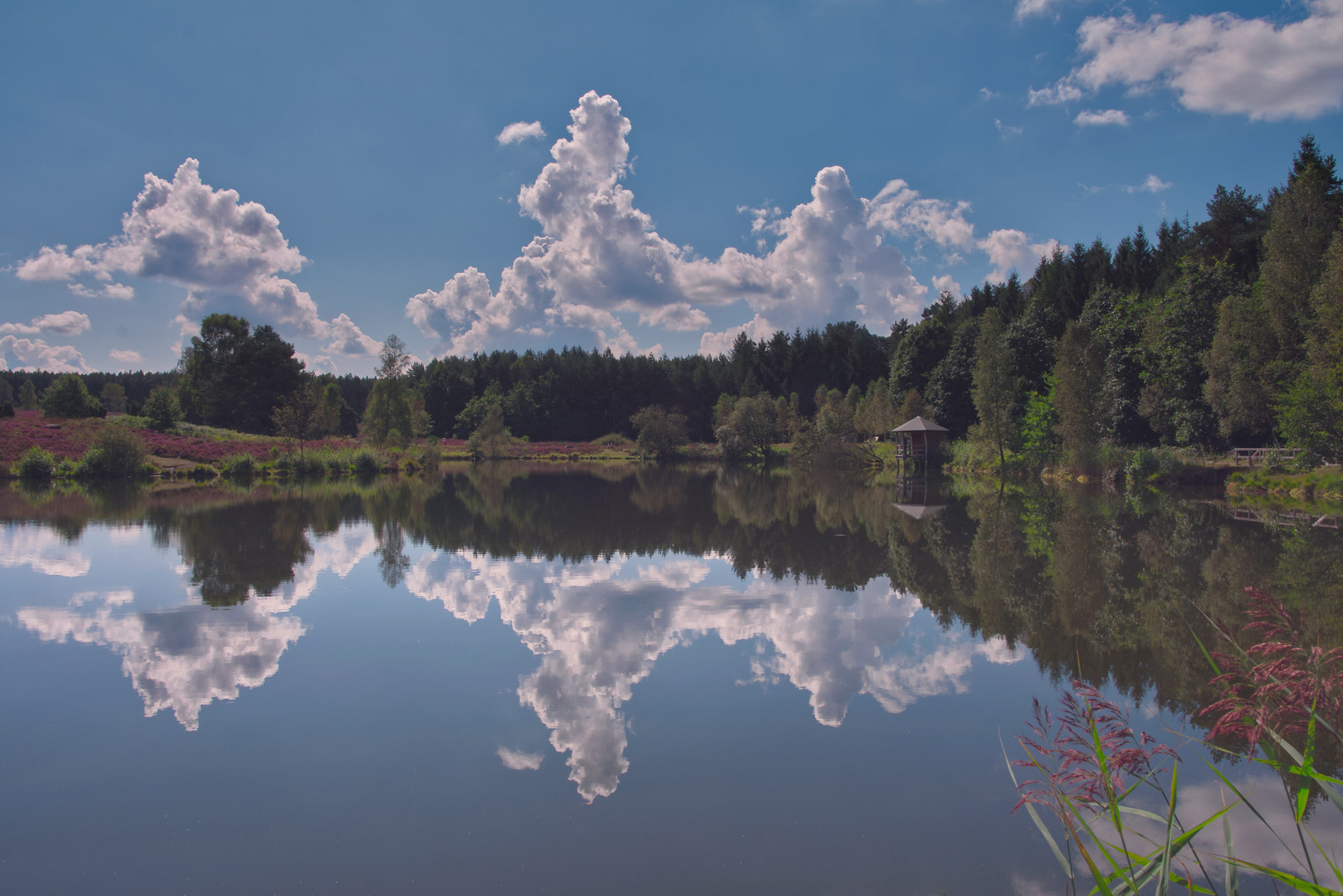 Spiegelung am Teich