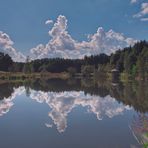 Spiegelung am Teich