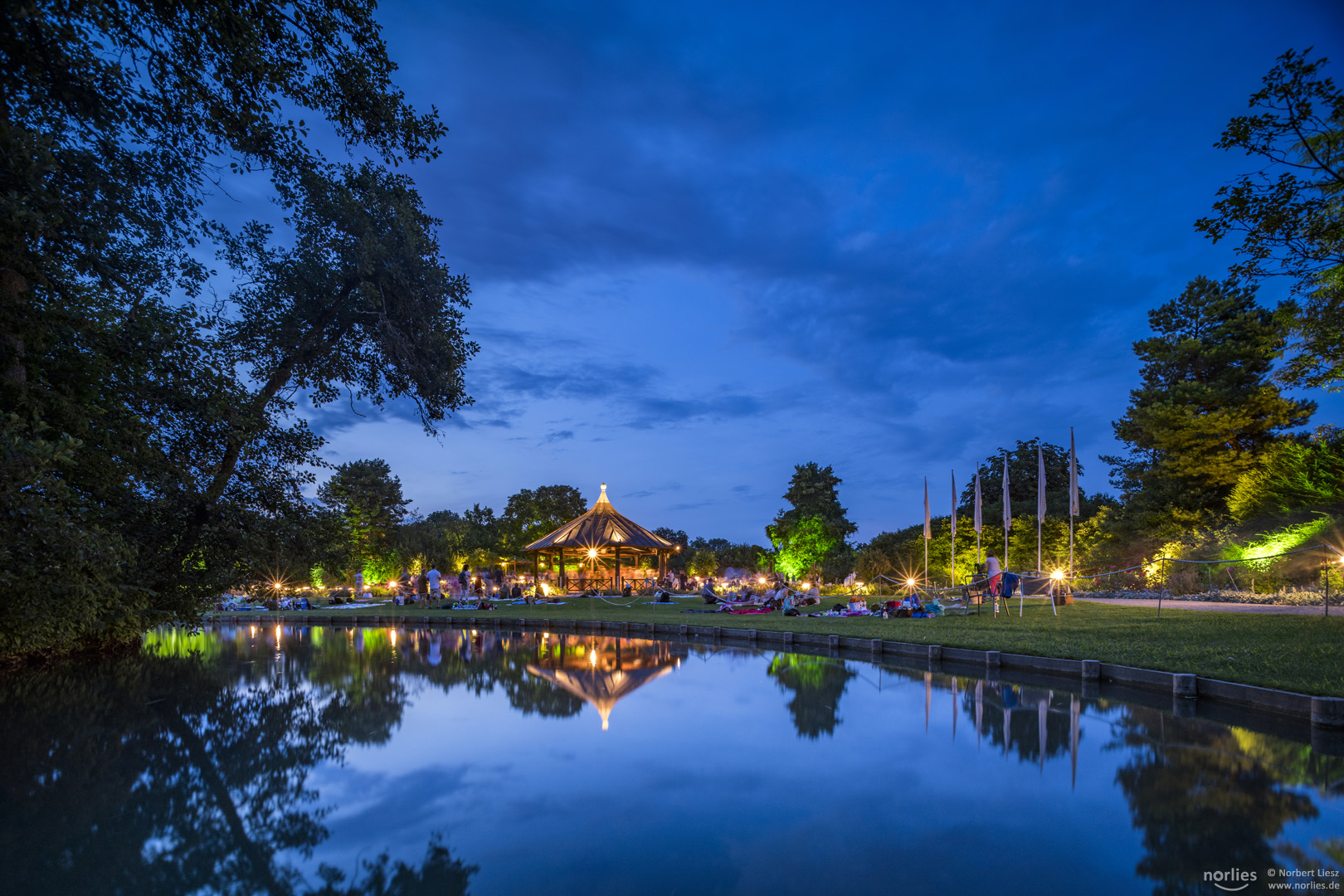 Spiegelung am Teich