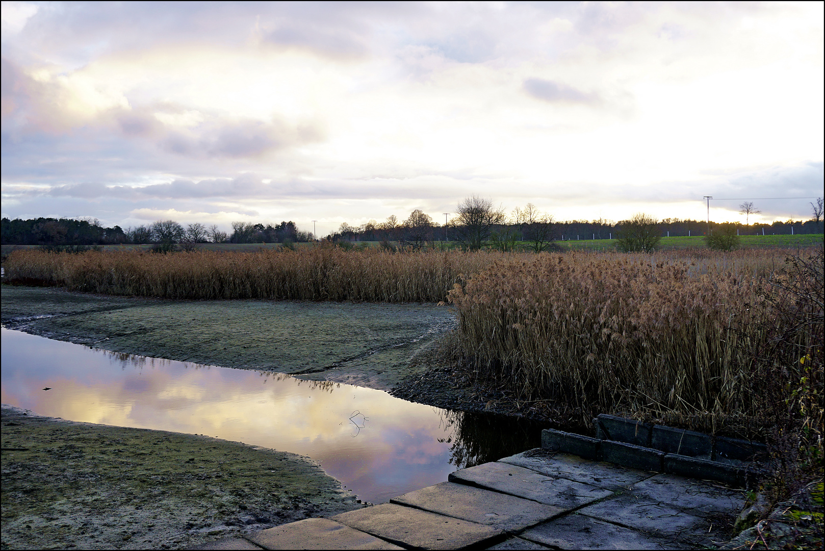 Spiegelung am Teich bei Friedland