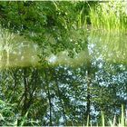 Spiegelung am Teich, Puchheim