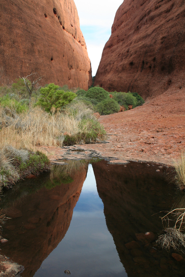 Spiegelung am Uluru / Australien