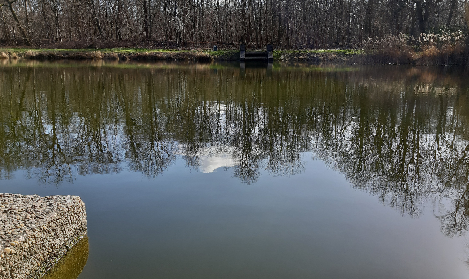 Spiegelung am Vierecksee 