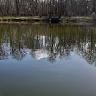 Spiegelung am Vierecksee 