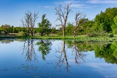 Spiegelung am Wasser