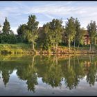 Spiegelung am Weiher