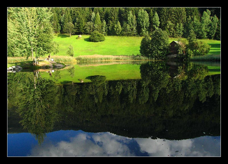 Spiegelung am Weiher