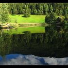 Spiegelung am Weiher