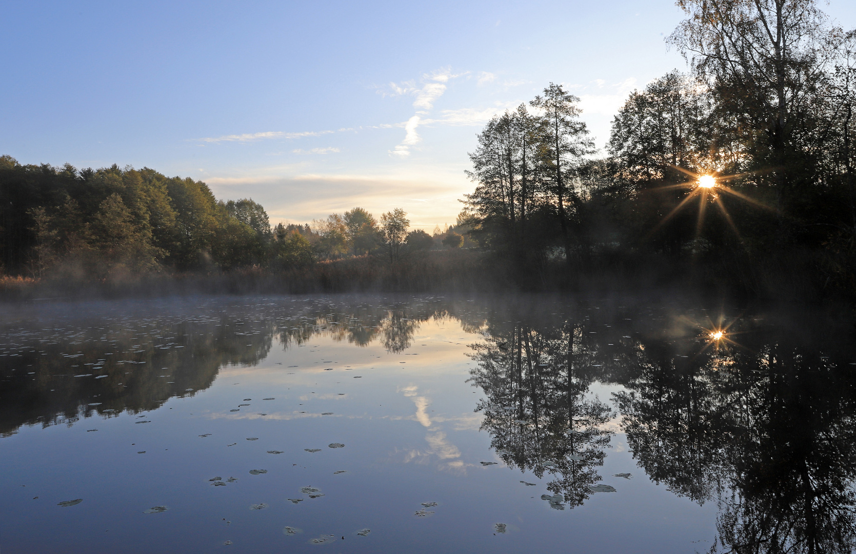 Spiegelung am Weiher