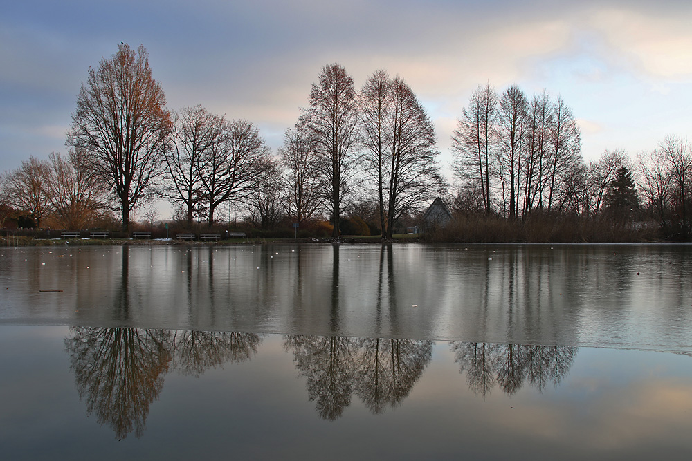 Spiegelung am Weiher