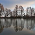 Spiegelung am Weiher