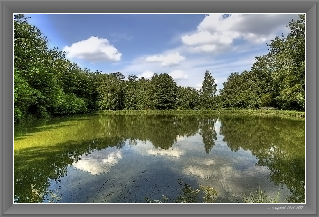 Spiegelung am Weiher