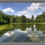 Spiegelung am Weiher