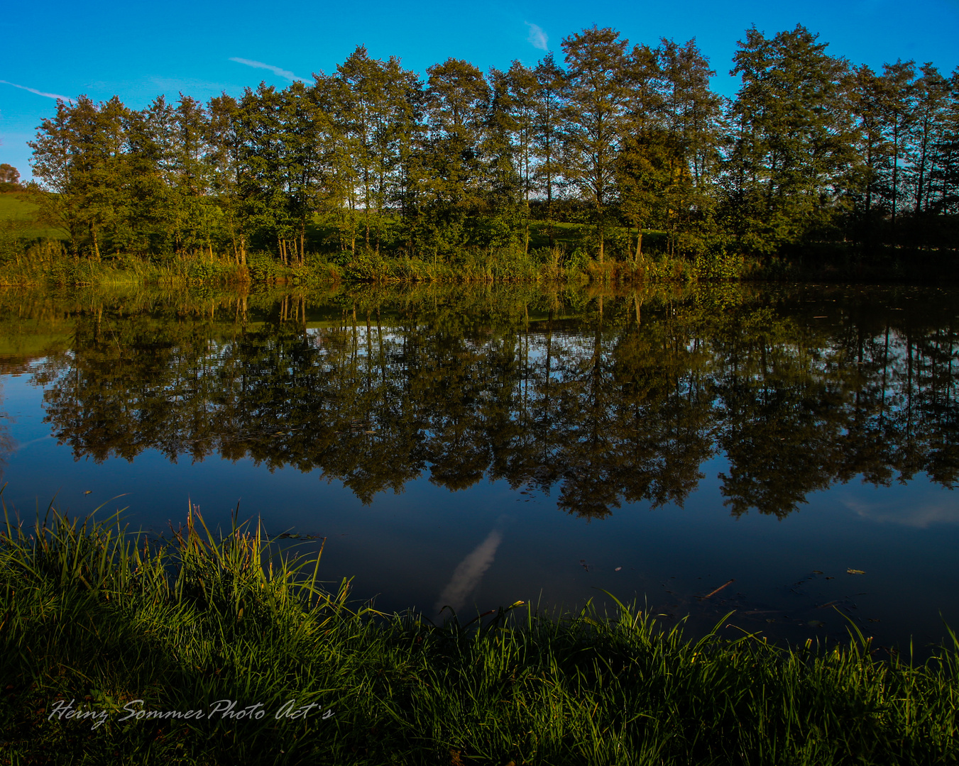 Spiegelung am Weiher