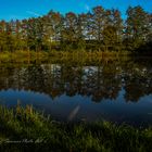 Spiegelung am Weiher