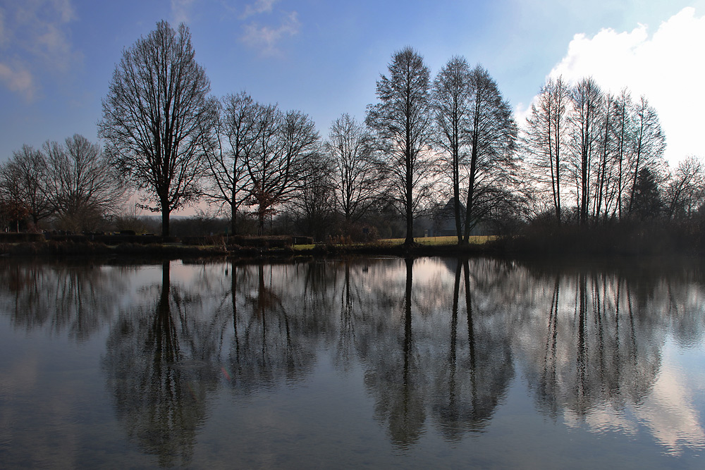 Spiegelung am Weiher gegen Mittag