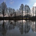 Spiegelung am Weiher gegen Mittag