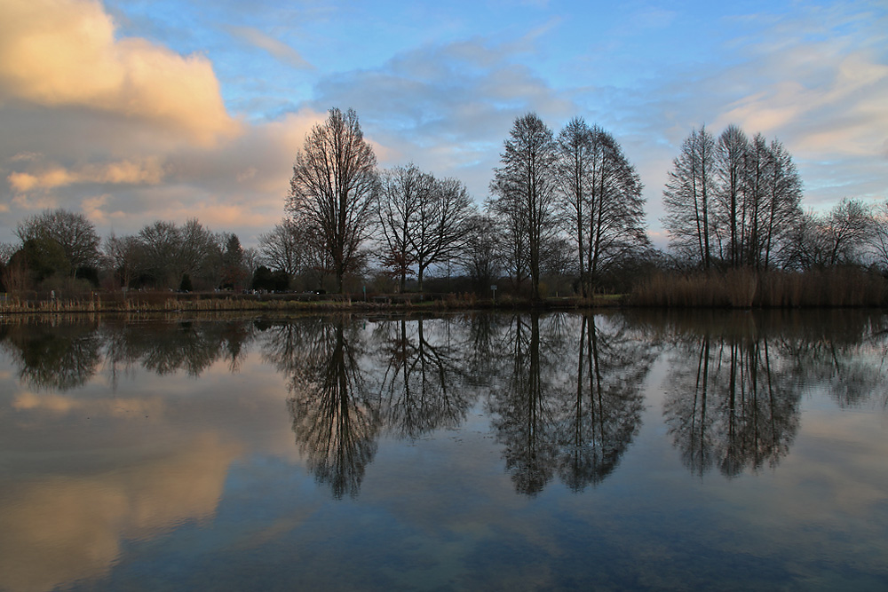 Spiegelung am Weiher vor Sonnenuntergang