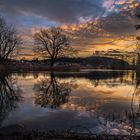 Spiegelung am Weiher zum Sonnenaufgang