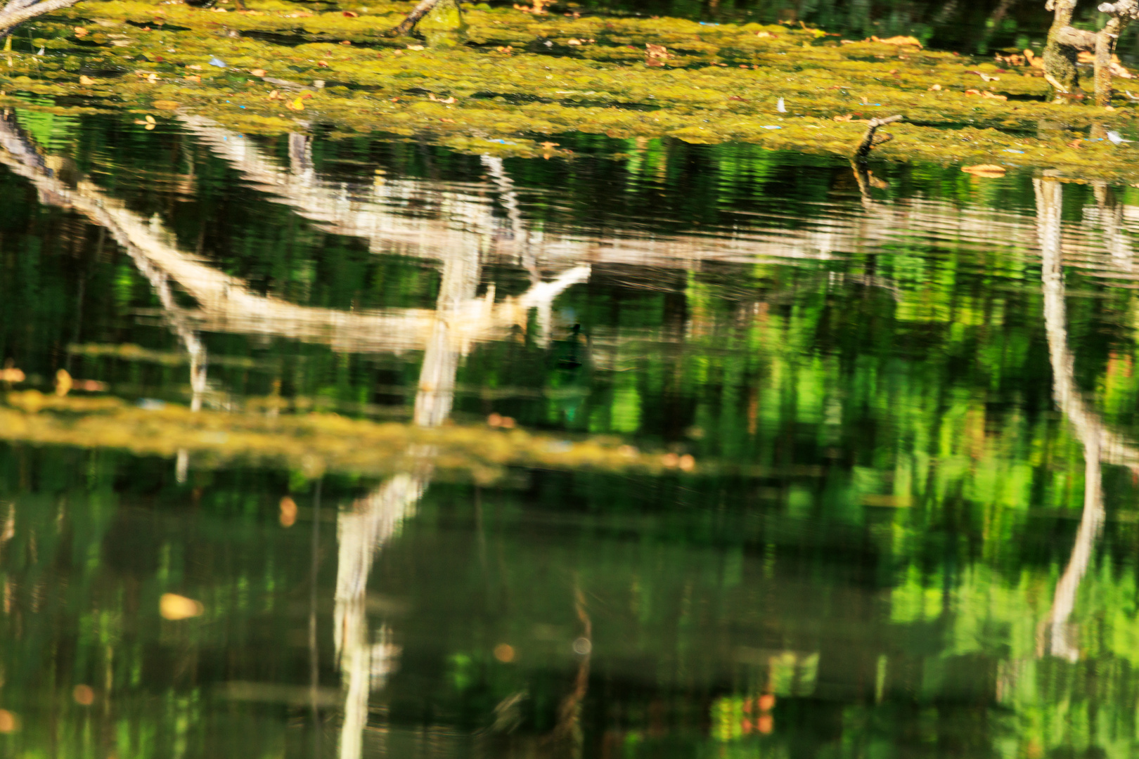 Spiegelung am Zeuterner See