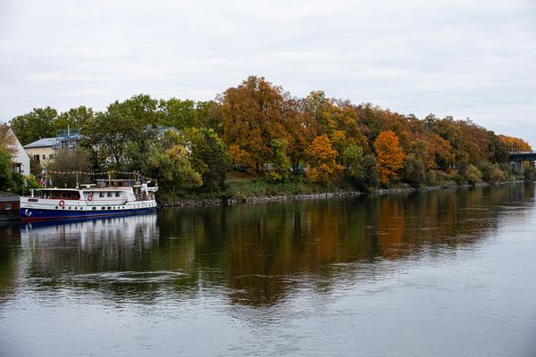 Spiegelung an der Donau