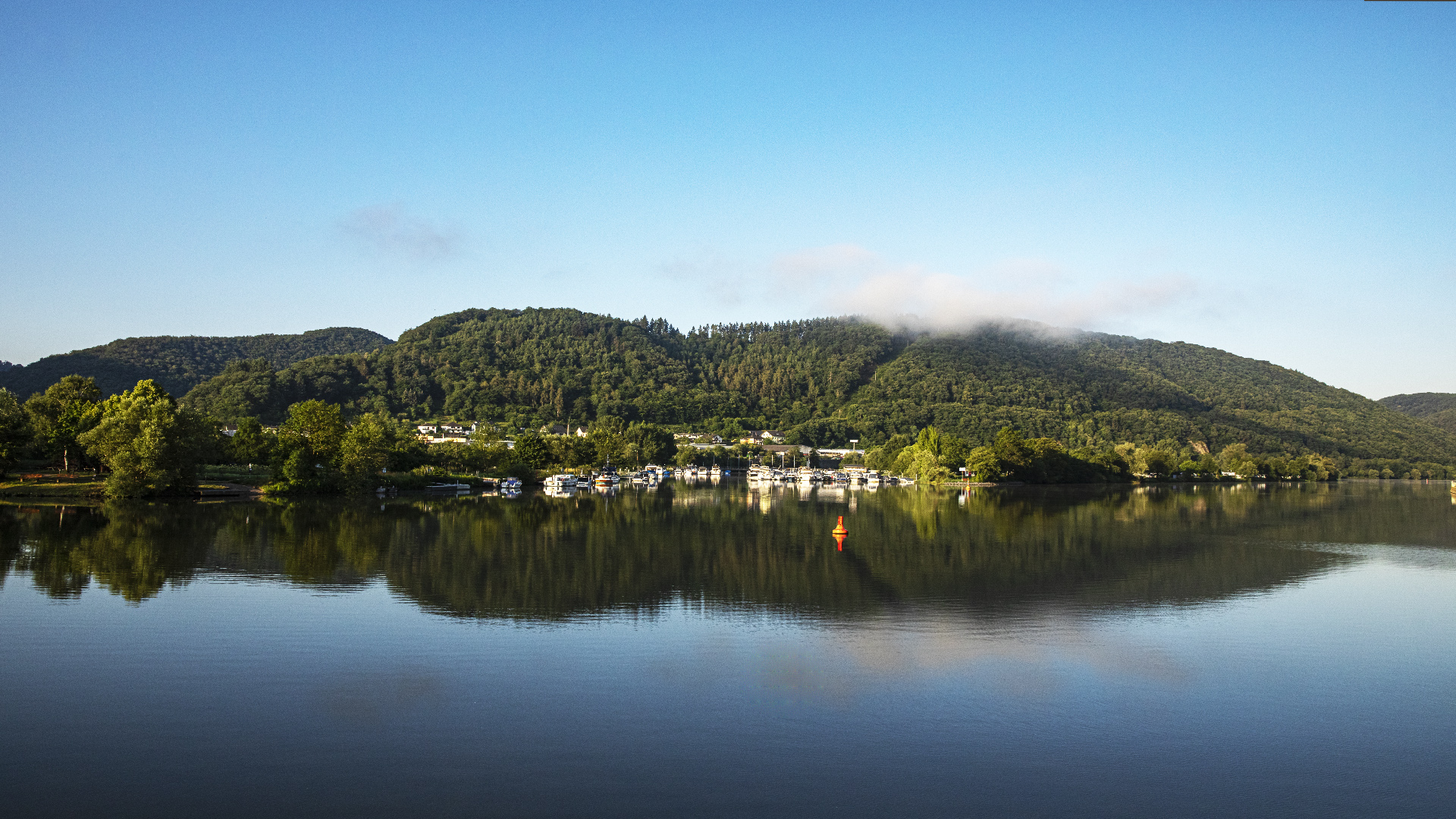 Spiegelung an der Mosel