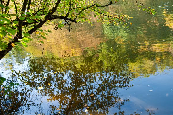 Spiegelung an der Regnitz