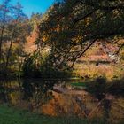 Spiegelung an der schwarzen Laber