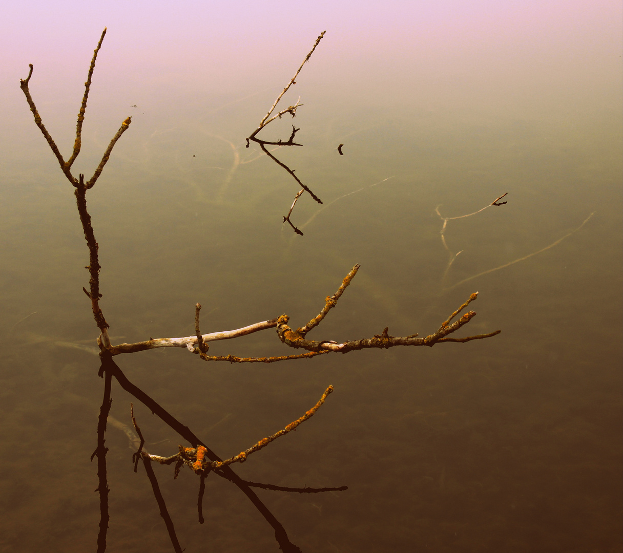 Spiegelung an der Wasseroberfläche