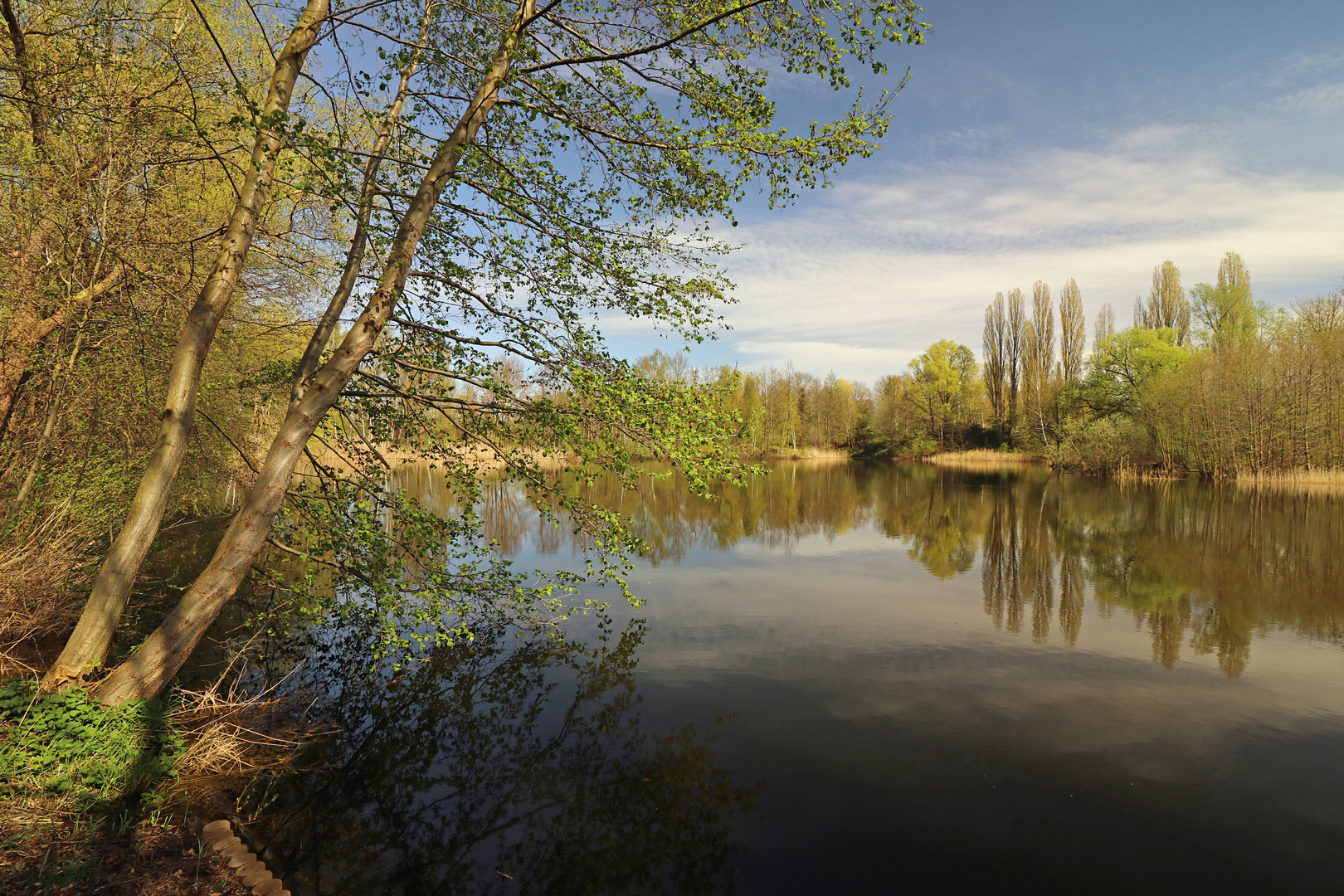 Spiegelung auf dem Fischteich