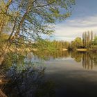 Spiegelung auf dem Fischteich