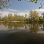 Spiegelung auf dem Fischteich